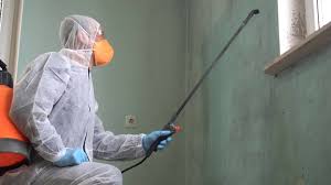 Best Commercial Mold Inspection  in South Fulton, TN