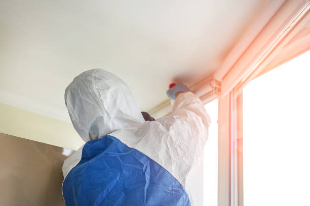 Best Mold Prevention Services  in South Fulton, TN