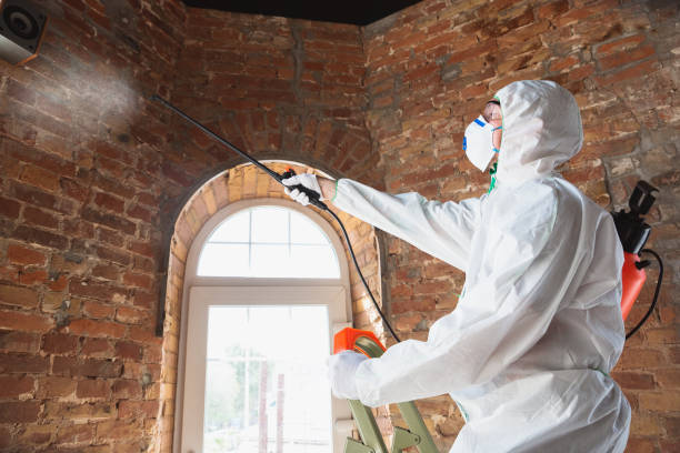 Mold Documentation for Insurance Claims in South Fulton, TN