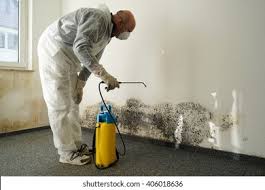 Mold Remediation for Rental Properties in South Fulton, TN